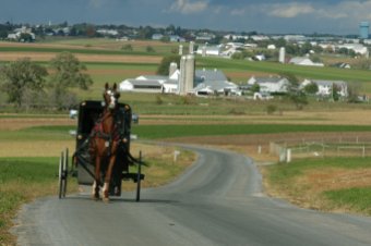 Amish_1_BuggyFarmscape